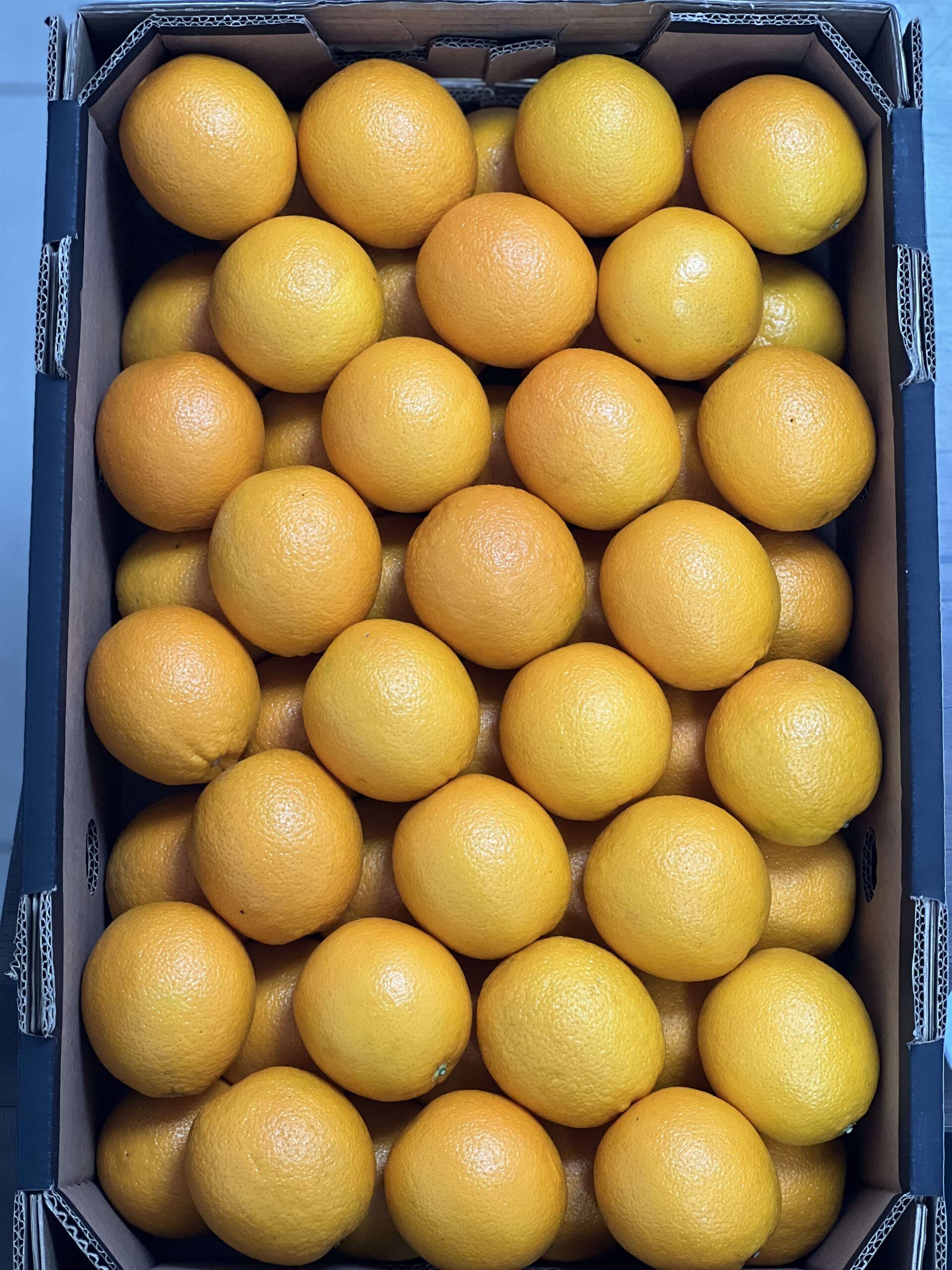 Egyptian Orange Export Season and Best Import Time