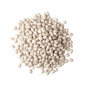 Dry White Beans - Egyptian export by Nile Prime