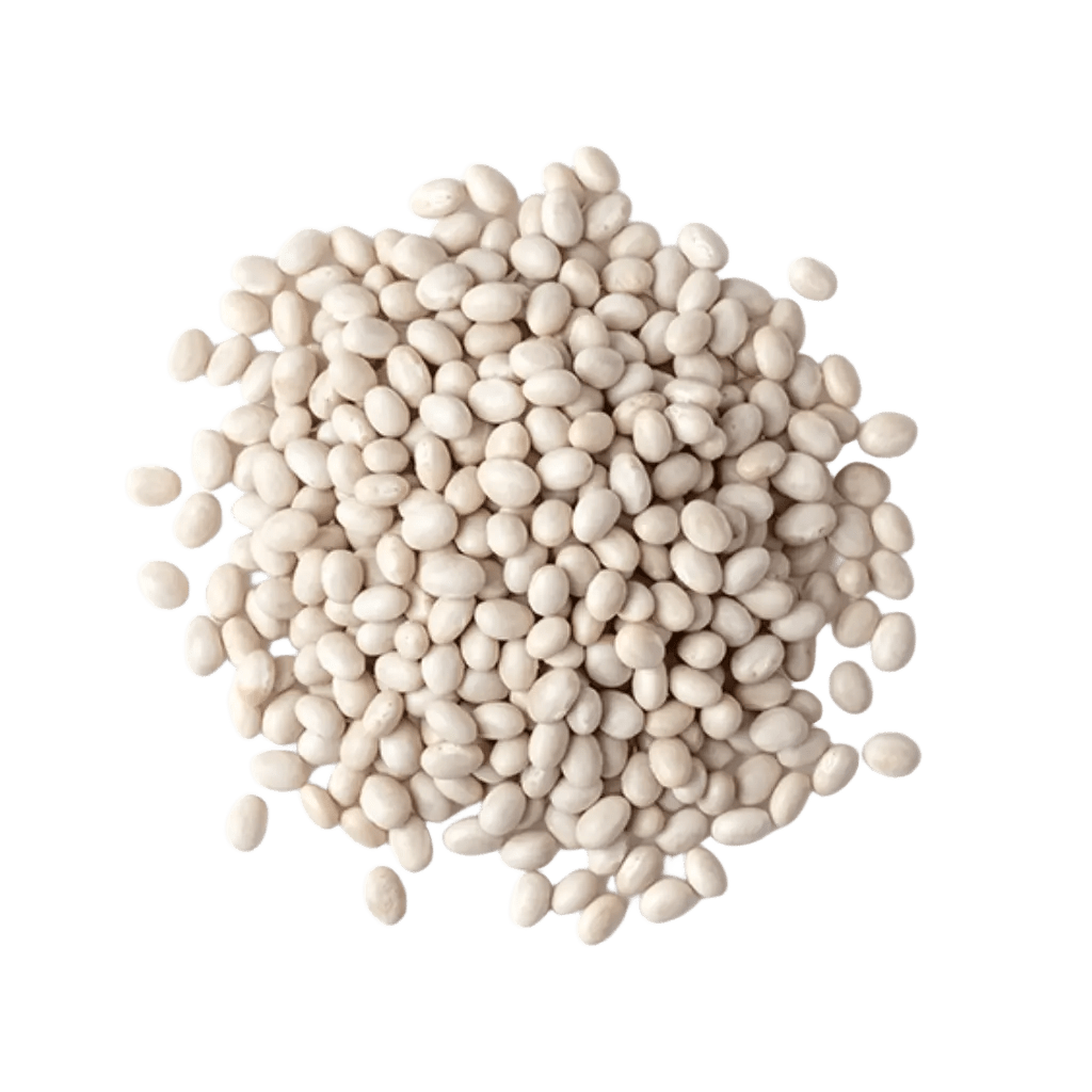 Dry White Beans - Egyptian export by Nile Prime