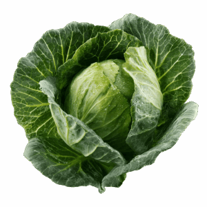Cabbage - Egyptian export by Nile Prime