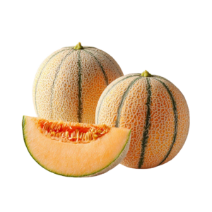 Cantaloupes - Egyptian export by Nile Prime