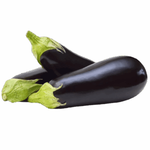 Eggplant - Egyptian export by Nile Prime