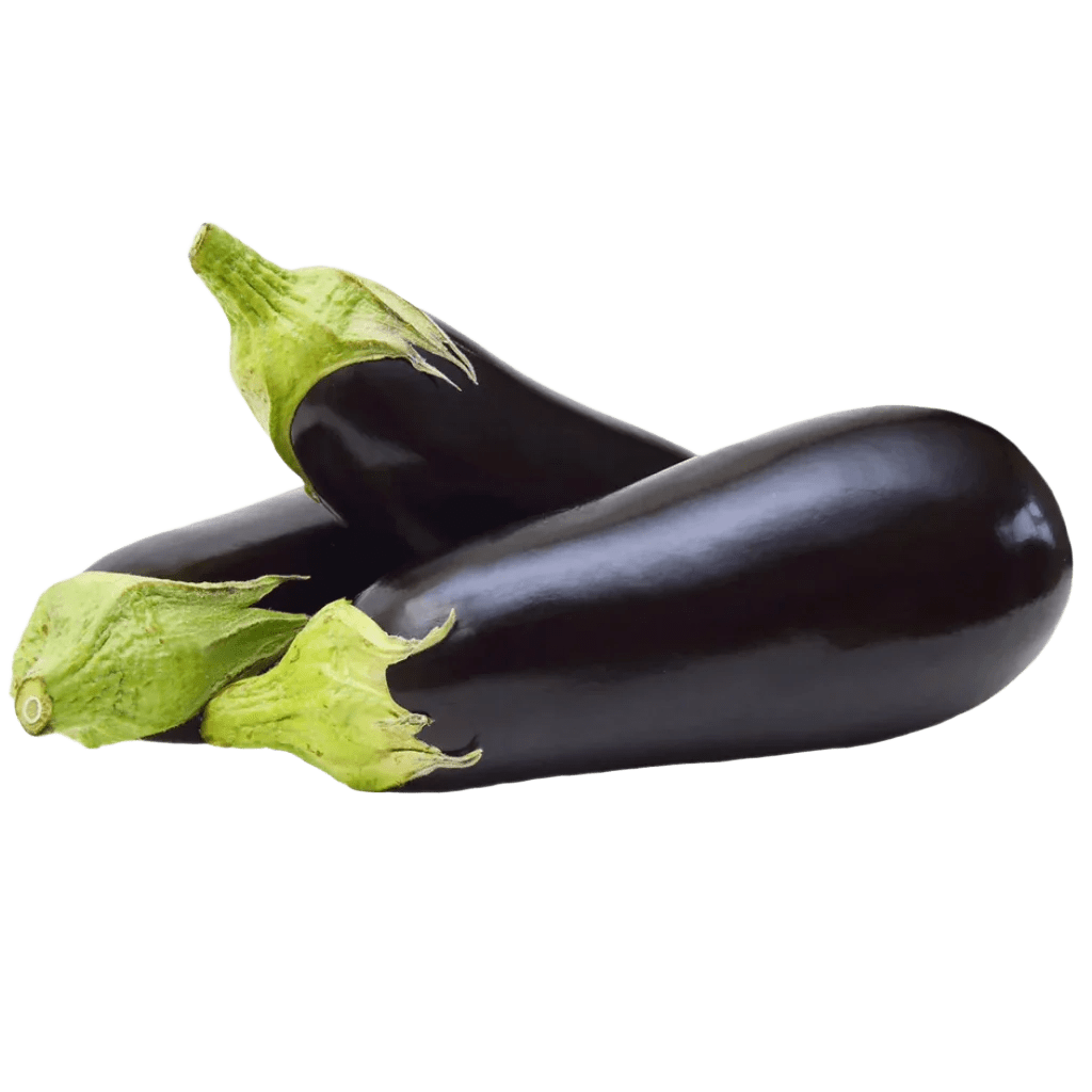 Eggplant - Egyptian export by Nile Prime