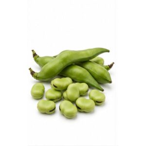 Egyptian Fava Beans — export quality by Nile Prime