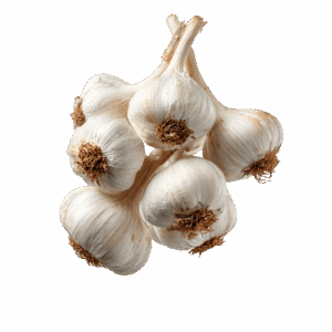 Garlic - Egyptian export by Nile Prime