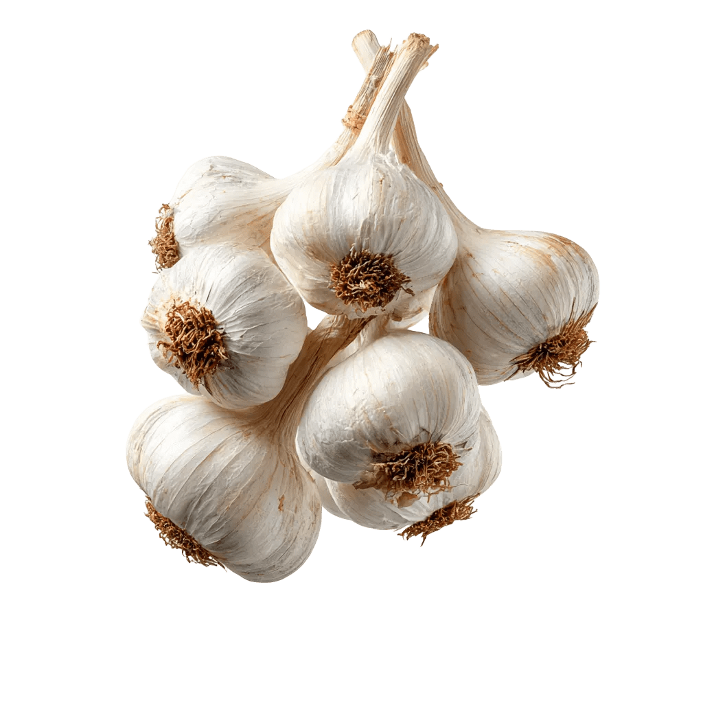 Garlic - Egyptian export by Nile Prime