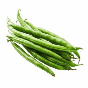 Green Beans - Egyptian export by Nile Prime