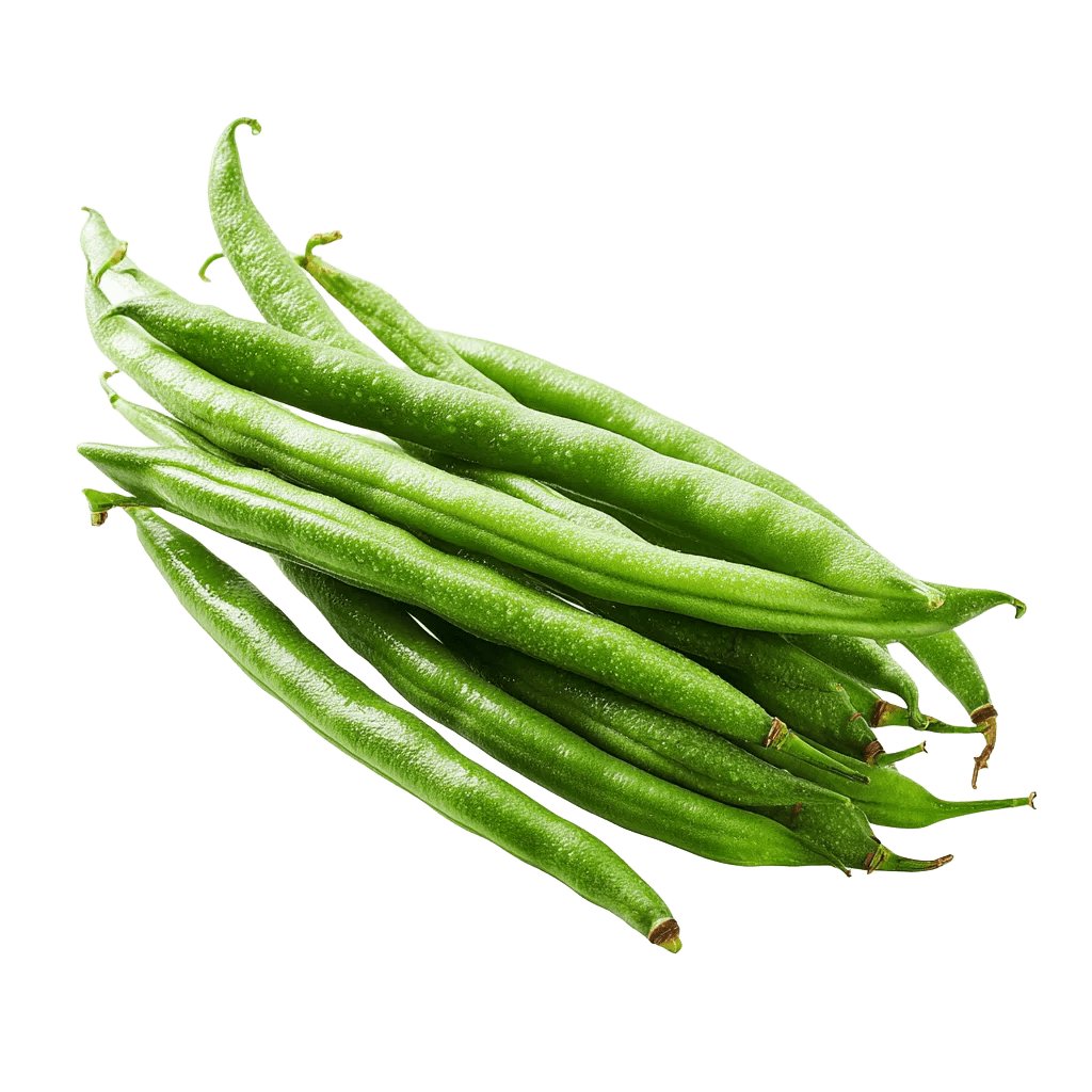 Green Beans - Egyptian export by Nile Prime