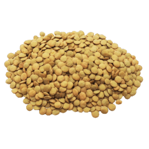 Lentils - Egyptian export by Nile Prime