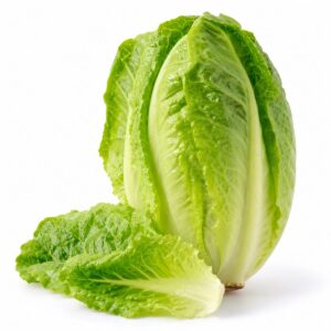 Egyptian Lettuce — export quality by Nile Prime