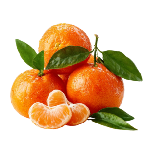 Mandarins - Egyptian export by Nile Prime