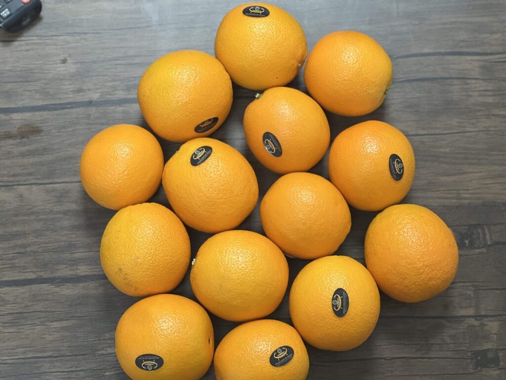 Egyptian Navel oranges closeup fresh export quality