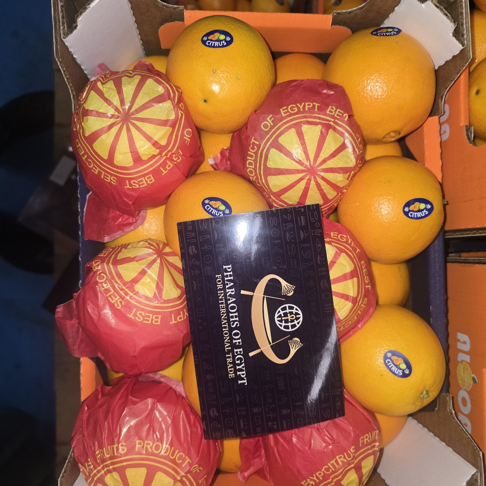 Egyptian Navel oranges packed in export carton