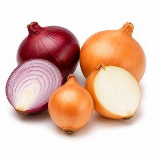 Egyptian Onions — export quality by Nile Prime
