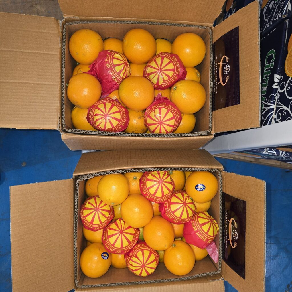 Egyptian oranges carton ready to ship for export
