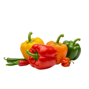 Peppers - Egyptian export by Nile Prime