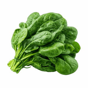 Spinach - Egyptian export by Nile Prime