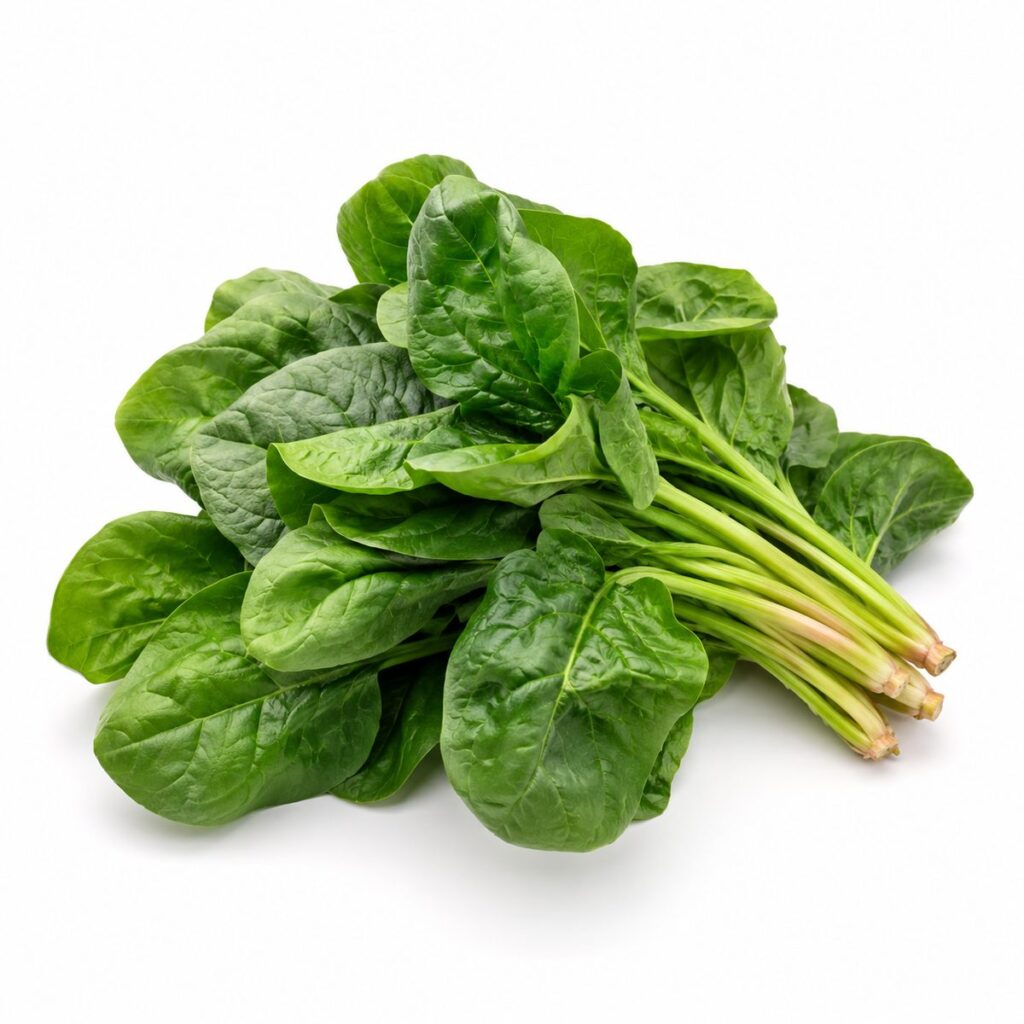 Egyptian Spinach — export quality by Nile Prime