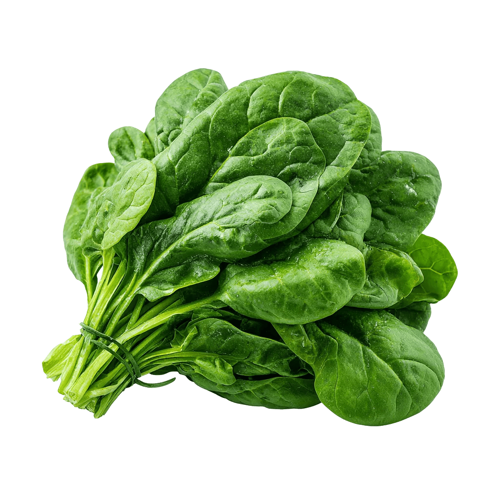 Spinach - Egyptian export by Nile Prime