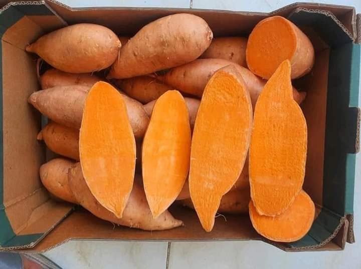 Egyptian sweet potatoes cut showing internal quality