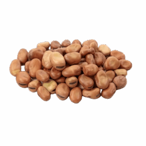 Fava Beans - Egyptian export by Nile Prime