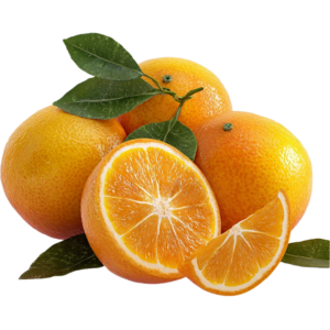 Navel Oranges - Egyptian export by Nile Prime