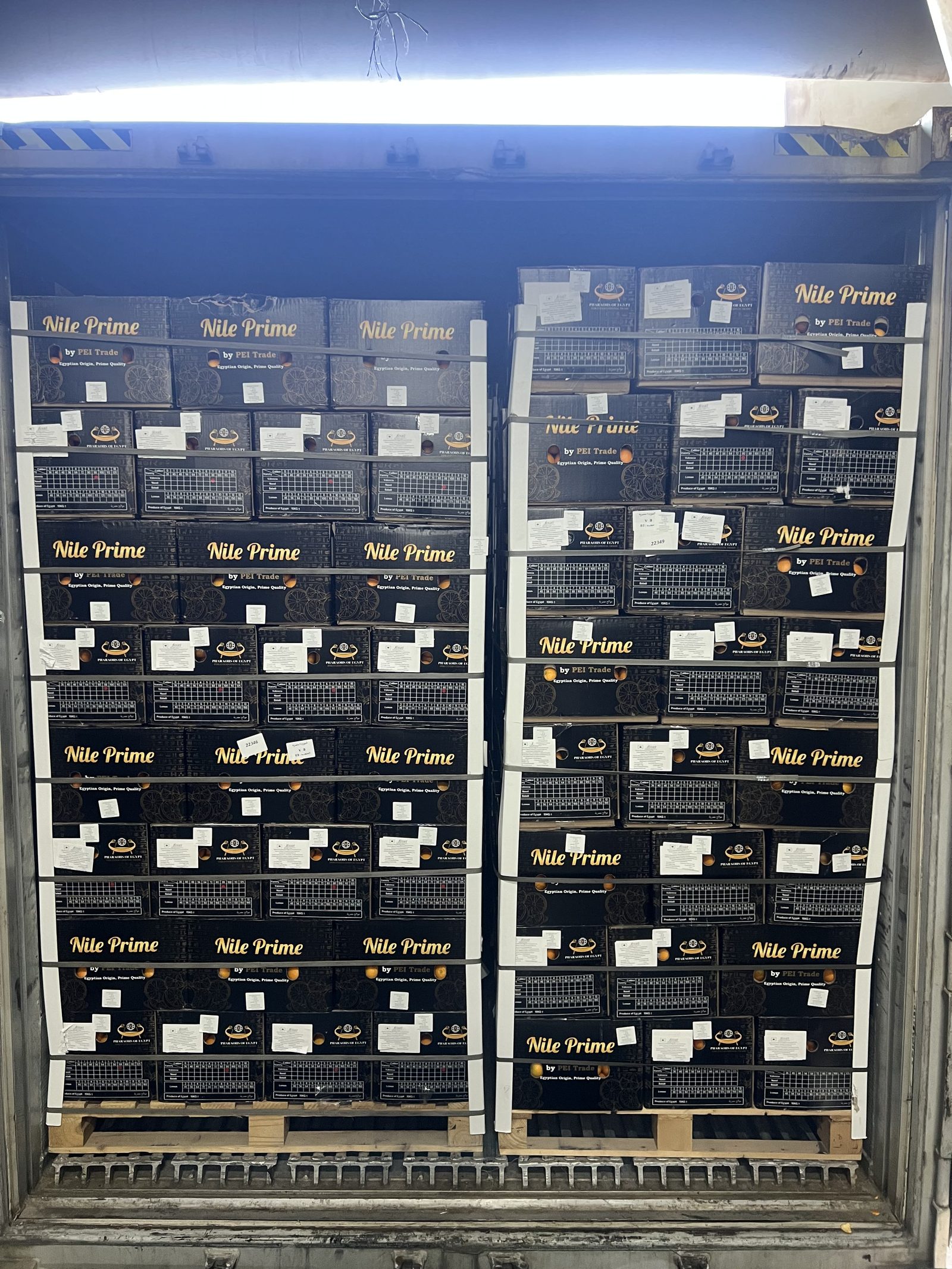 Nine hours from discharge to cold store — the pre-arrival checklist made this stack possible