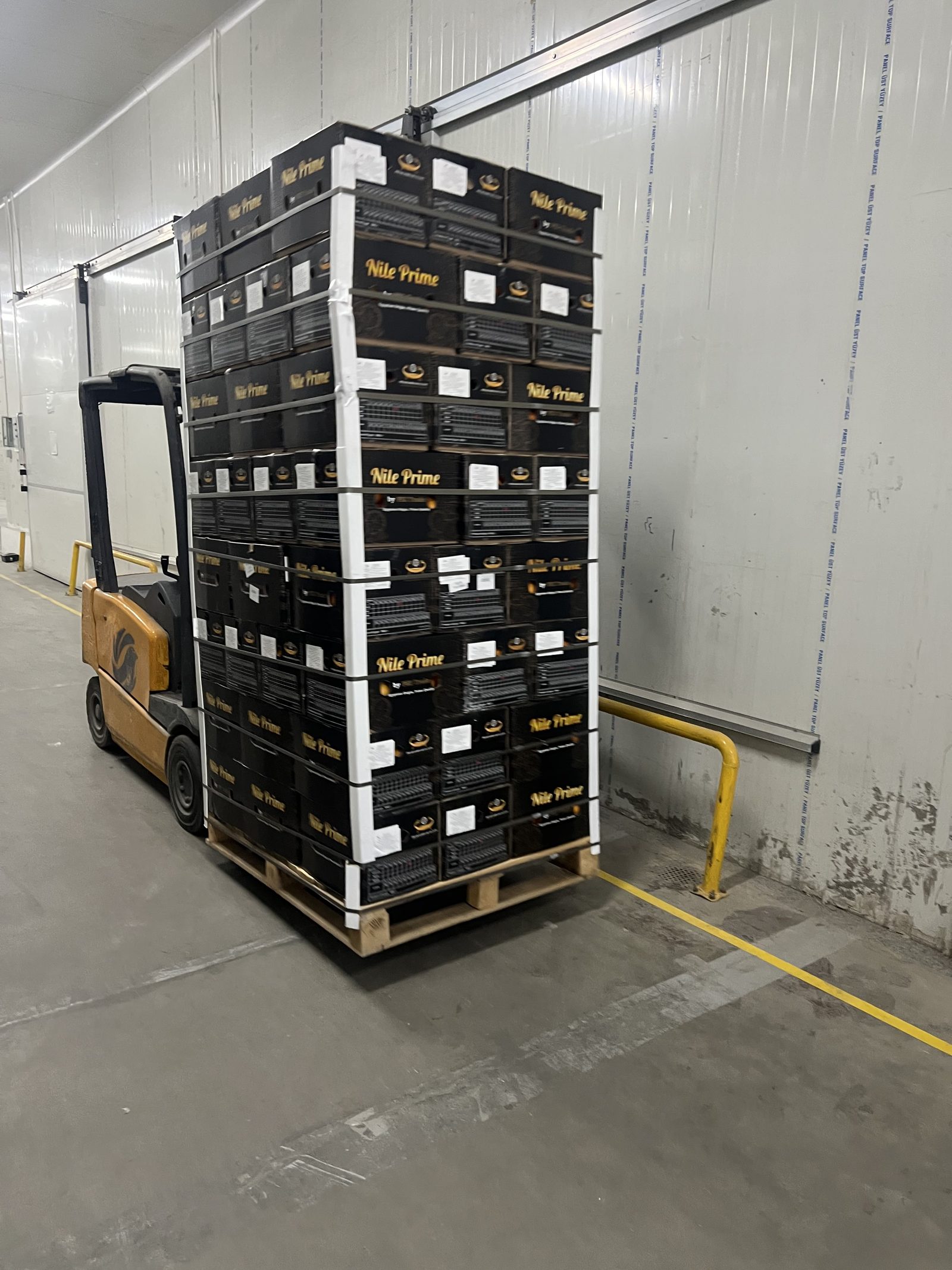 Cartons tiling the pallet footprint edge to edge — the geometry that survives three weeks at sea