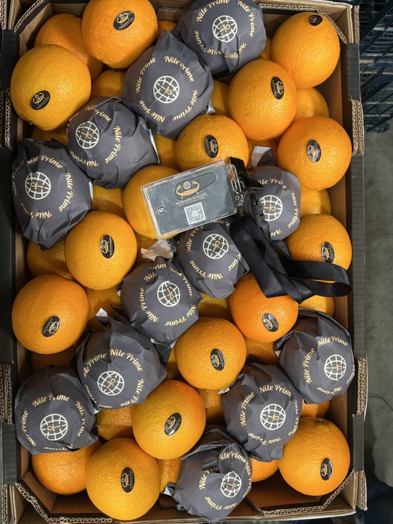 Premium wrapped Egyptian oranges in Nile Prime carton