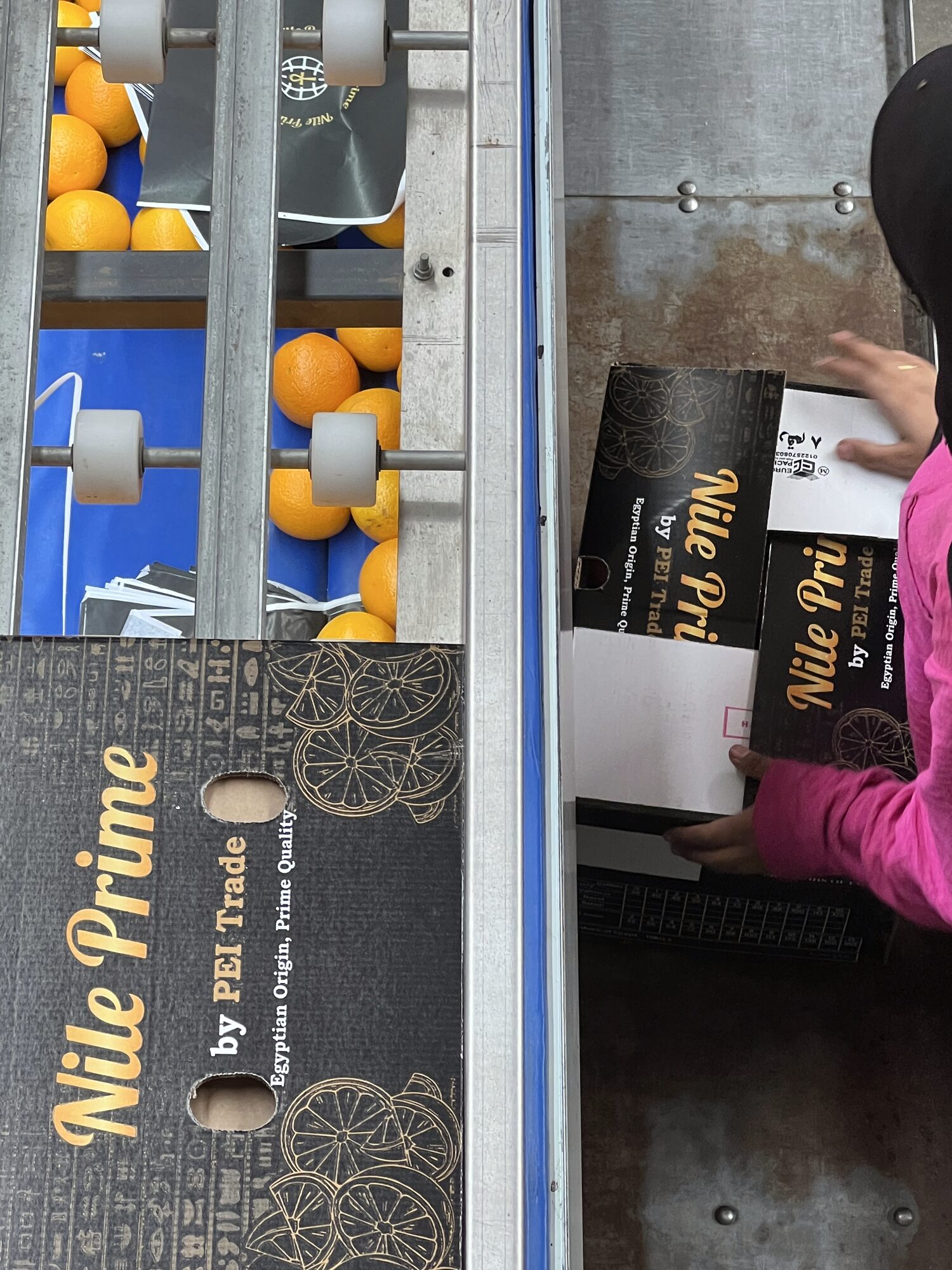 Closing a packed Nile Prime orange export carton on the line