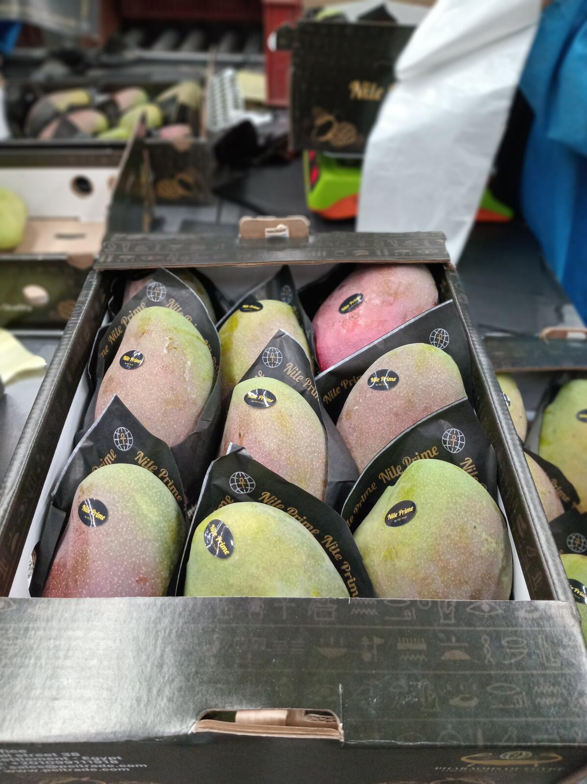 Egyptian mangoes in black protective sleeves inside a Nile Prime export carton
