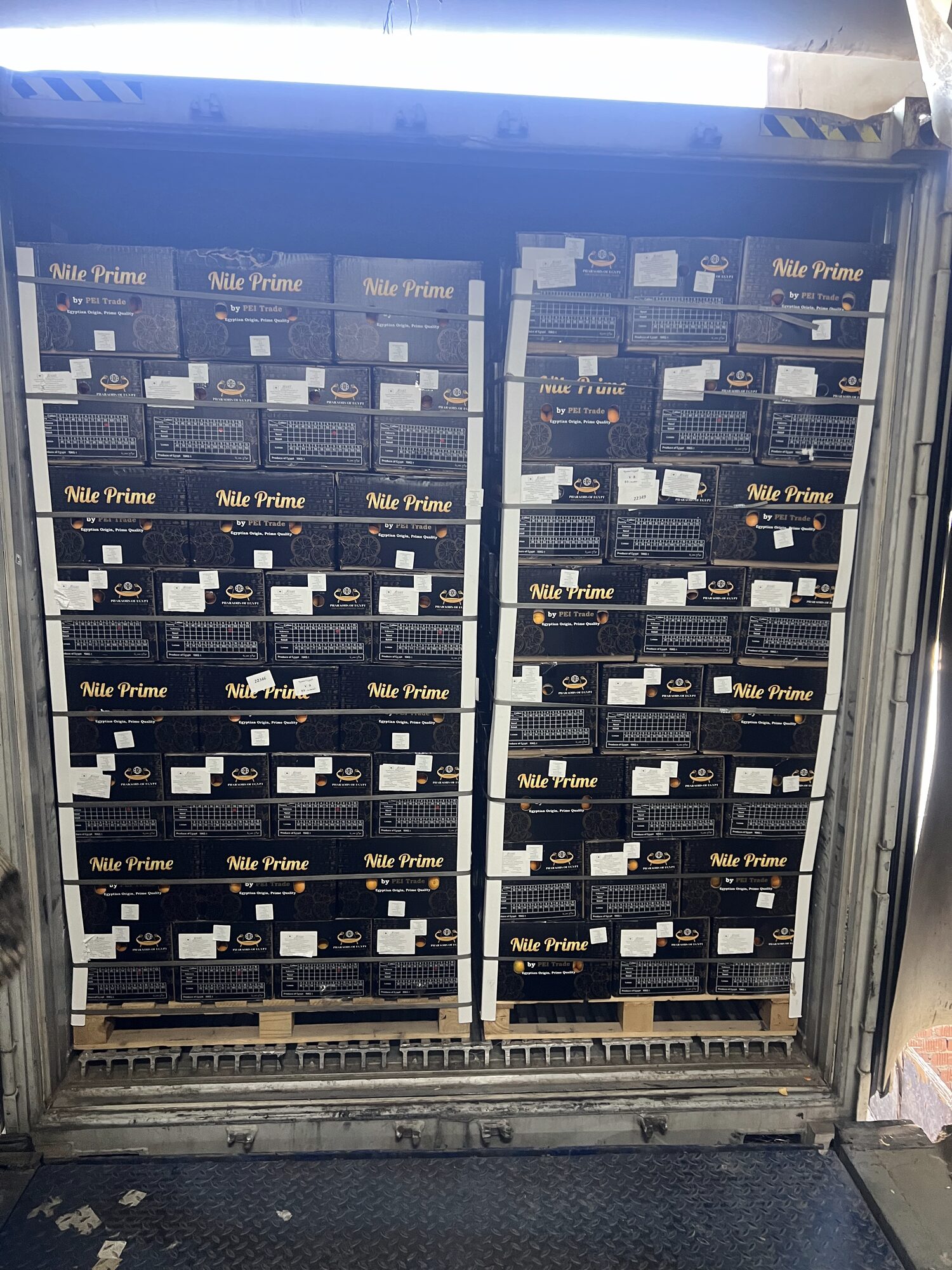 Fully loaded reefer container of Egyptian oranges ready for dispatch