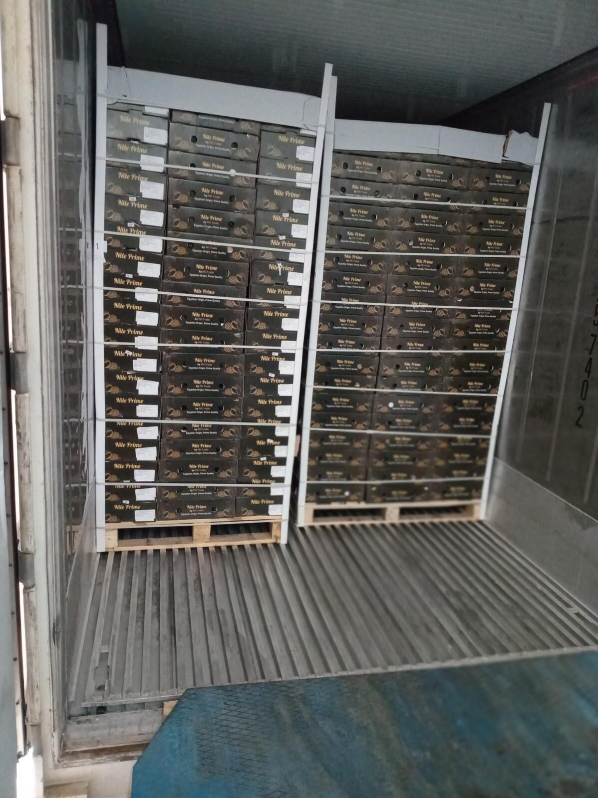 Pallets loaded into a reefer container in Egypt — the FOB shipping handover point