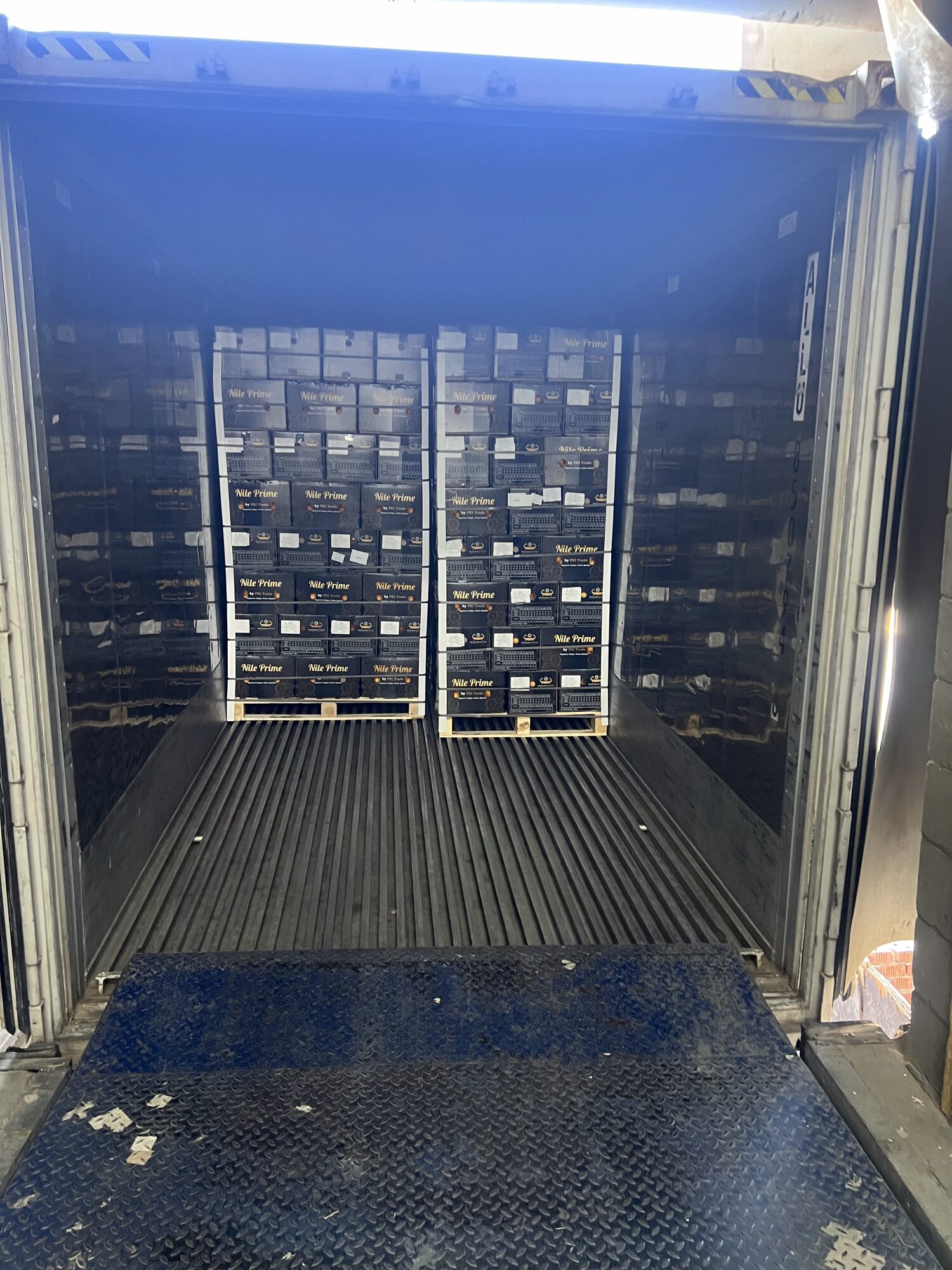Loading pallets into a reefer container for a mixed citrus and pomegranate shipment from Egypt