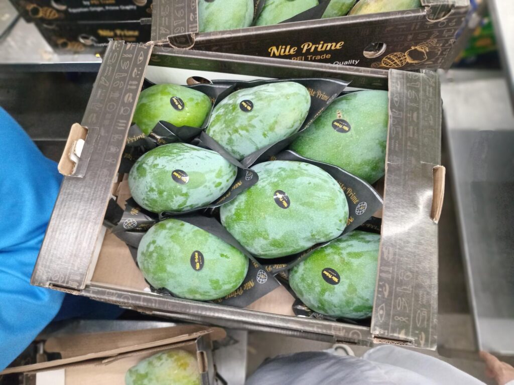 Nile Prime branded carton packed with green Egyptian mangoes