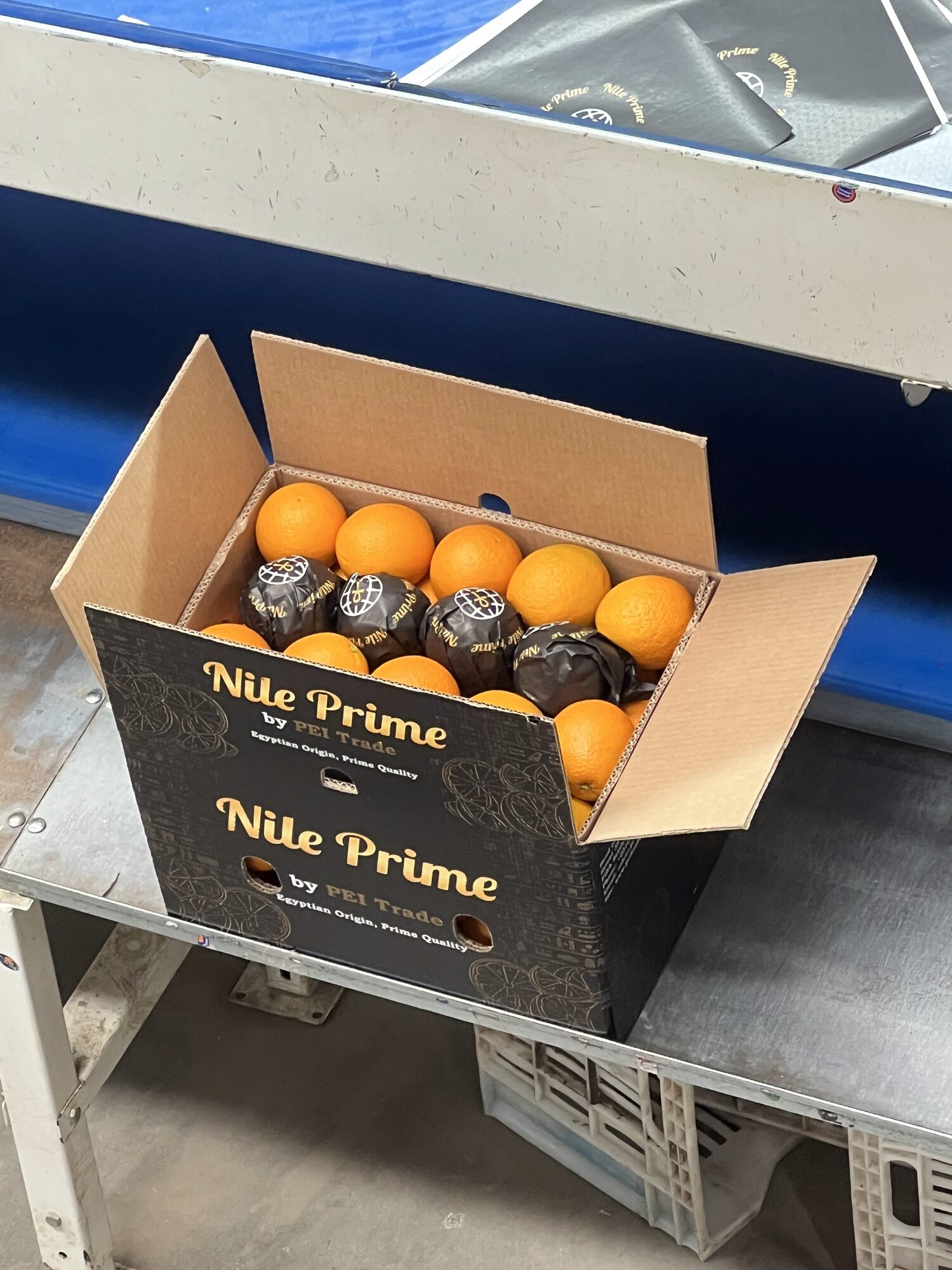 Open Nile Prime orange export carton with individually wrapped fruit