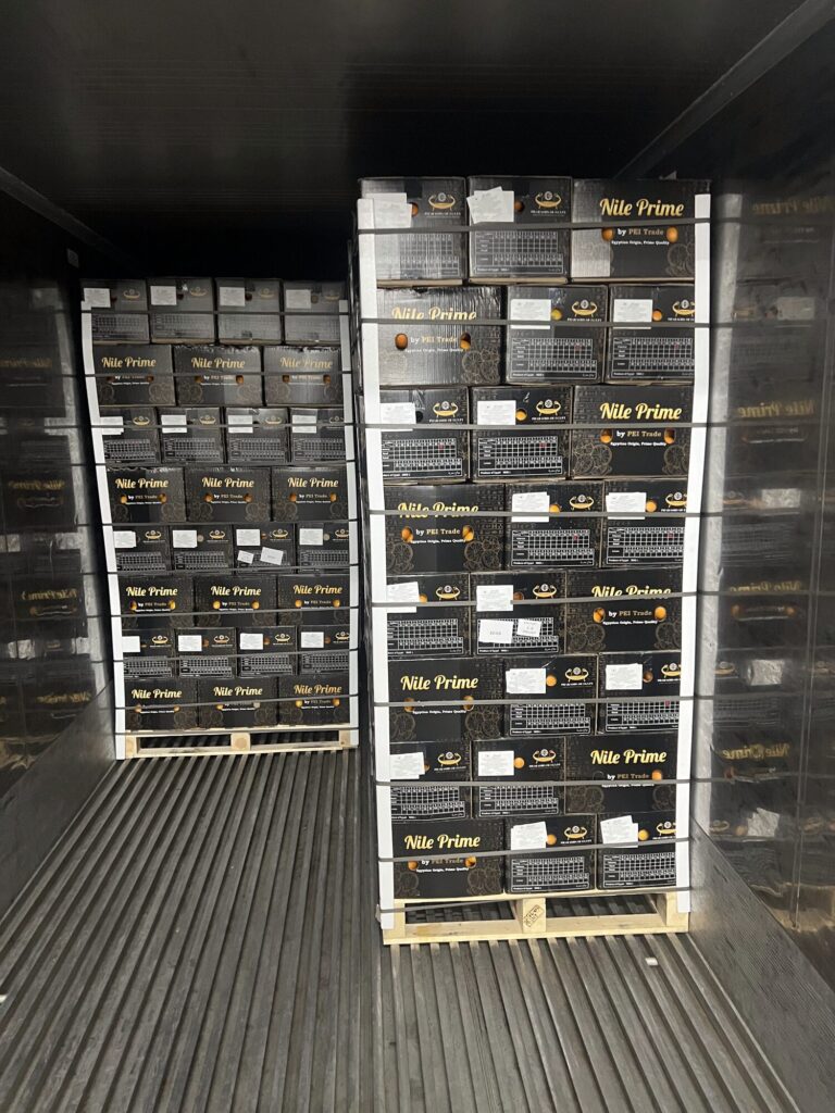Orange export pallets standing inside the refrigerated container