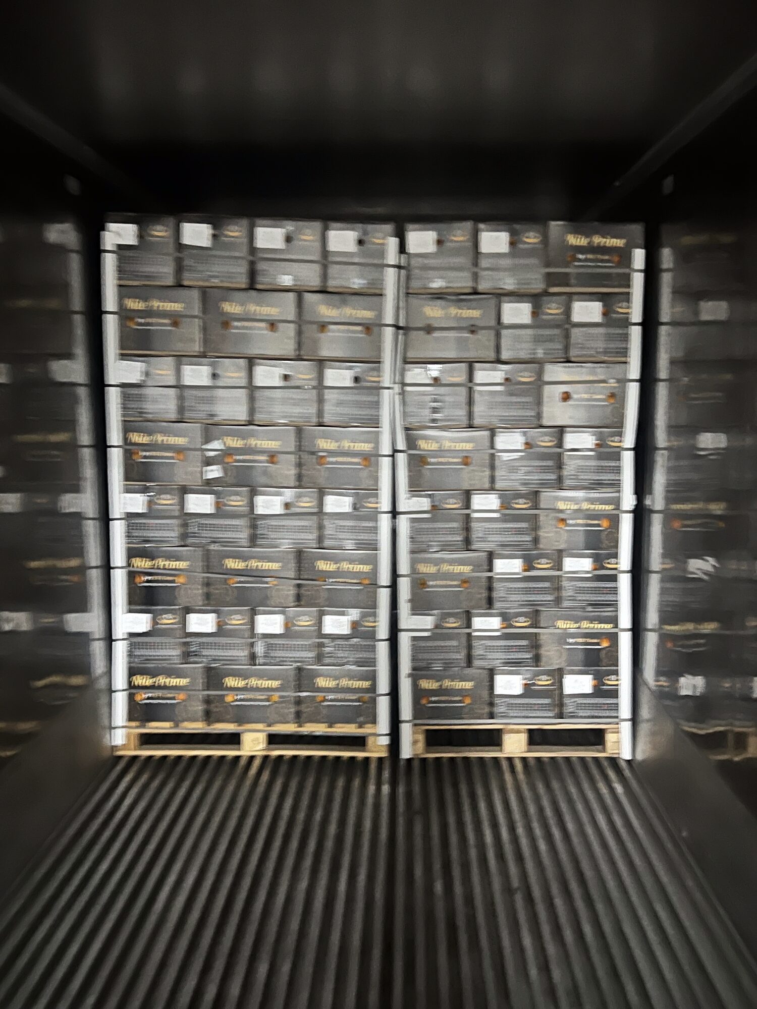Orange export pallets at the reefer container door before loading