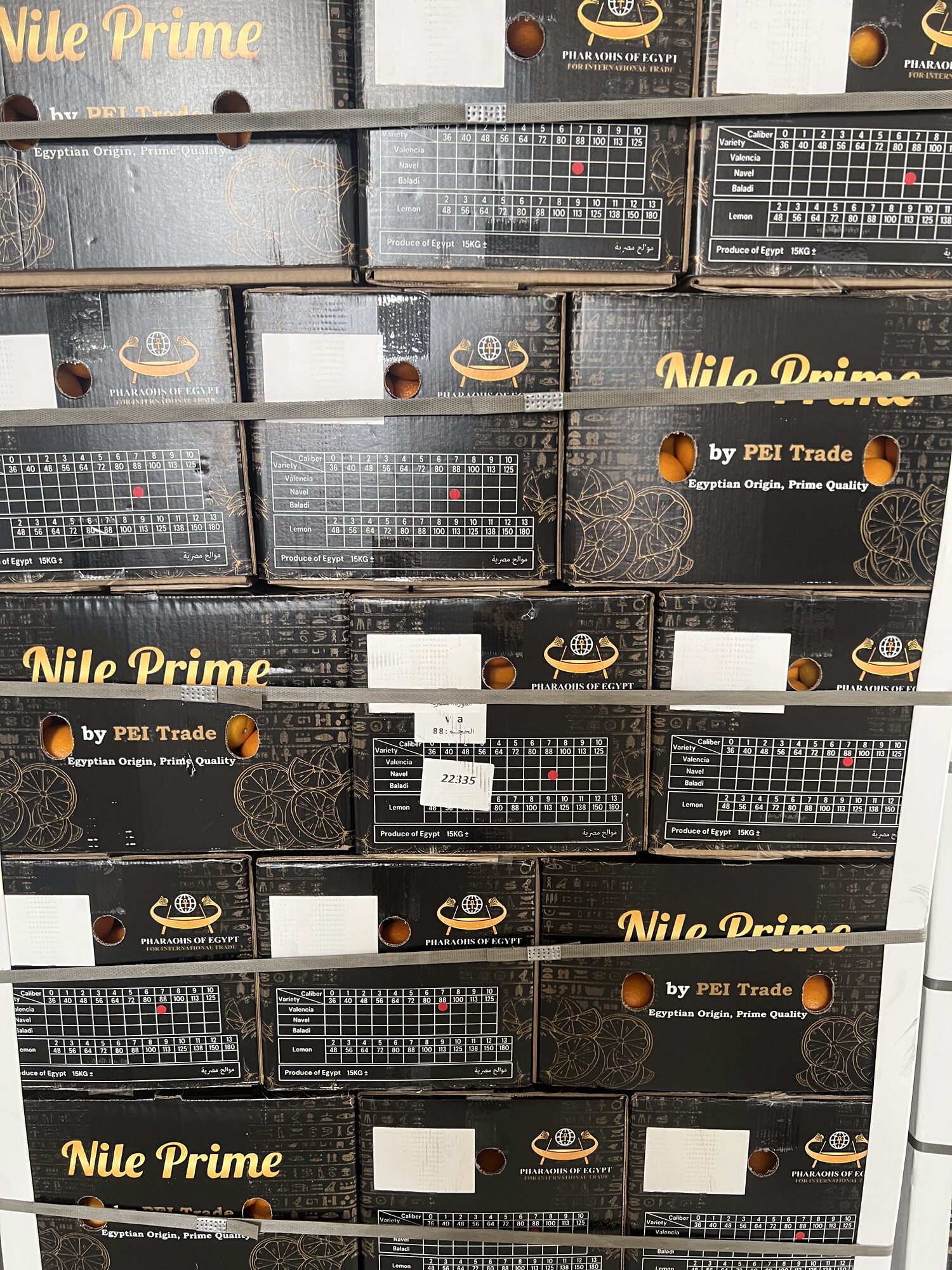 Palletised Nile Prime orange export cartons in the packhouse