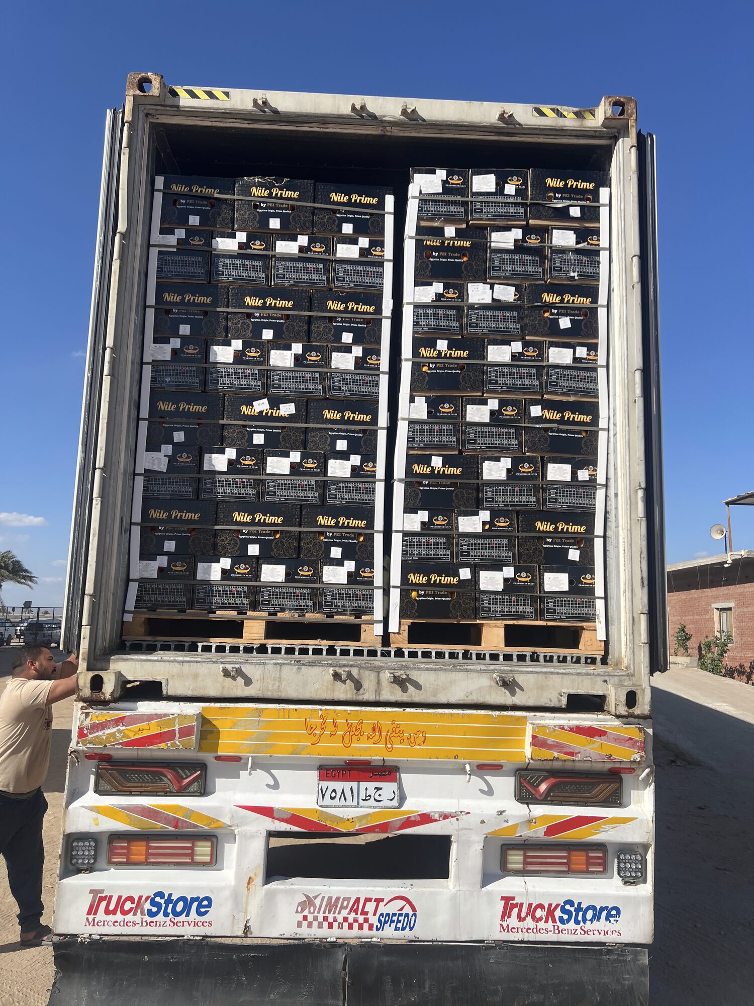 Reefer container on the truck carrying Egyptian citrus for Canada to the port