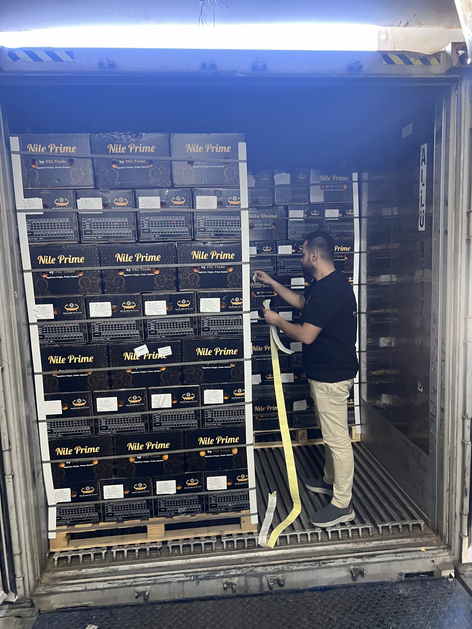 Egyptian oranges Russia: Securing an orange export pallet with strapping inside the reefer