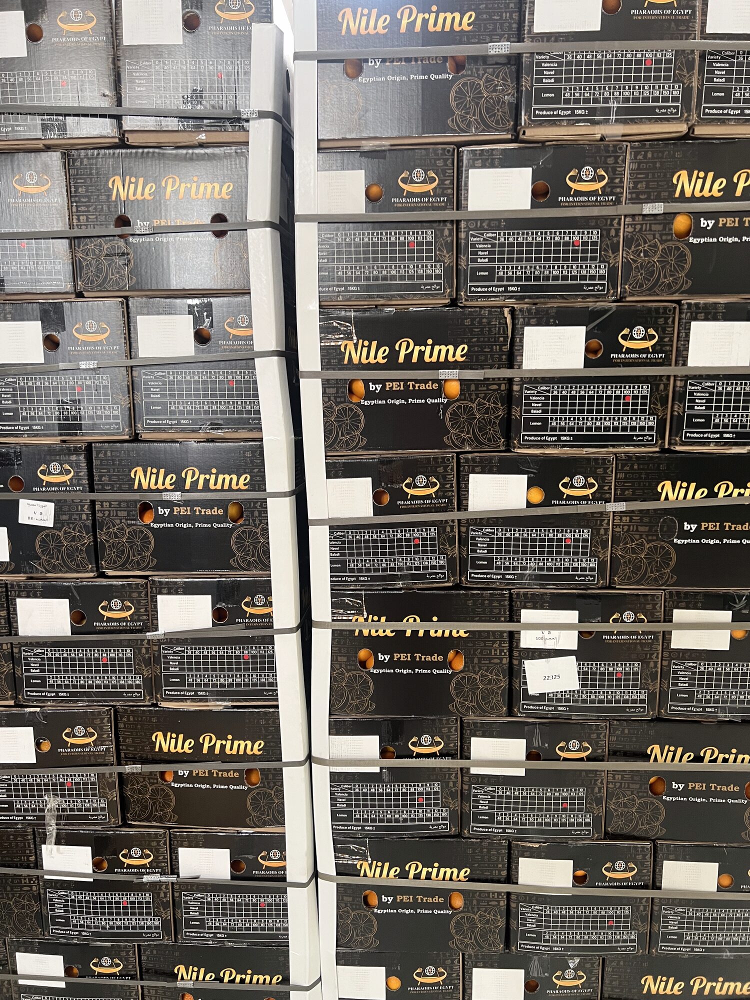 Stacked orange export cartons awaiting palletising in the packhouse