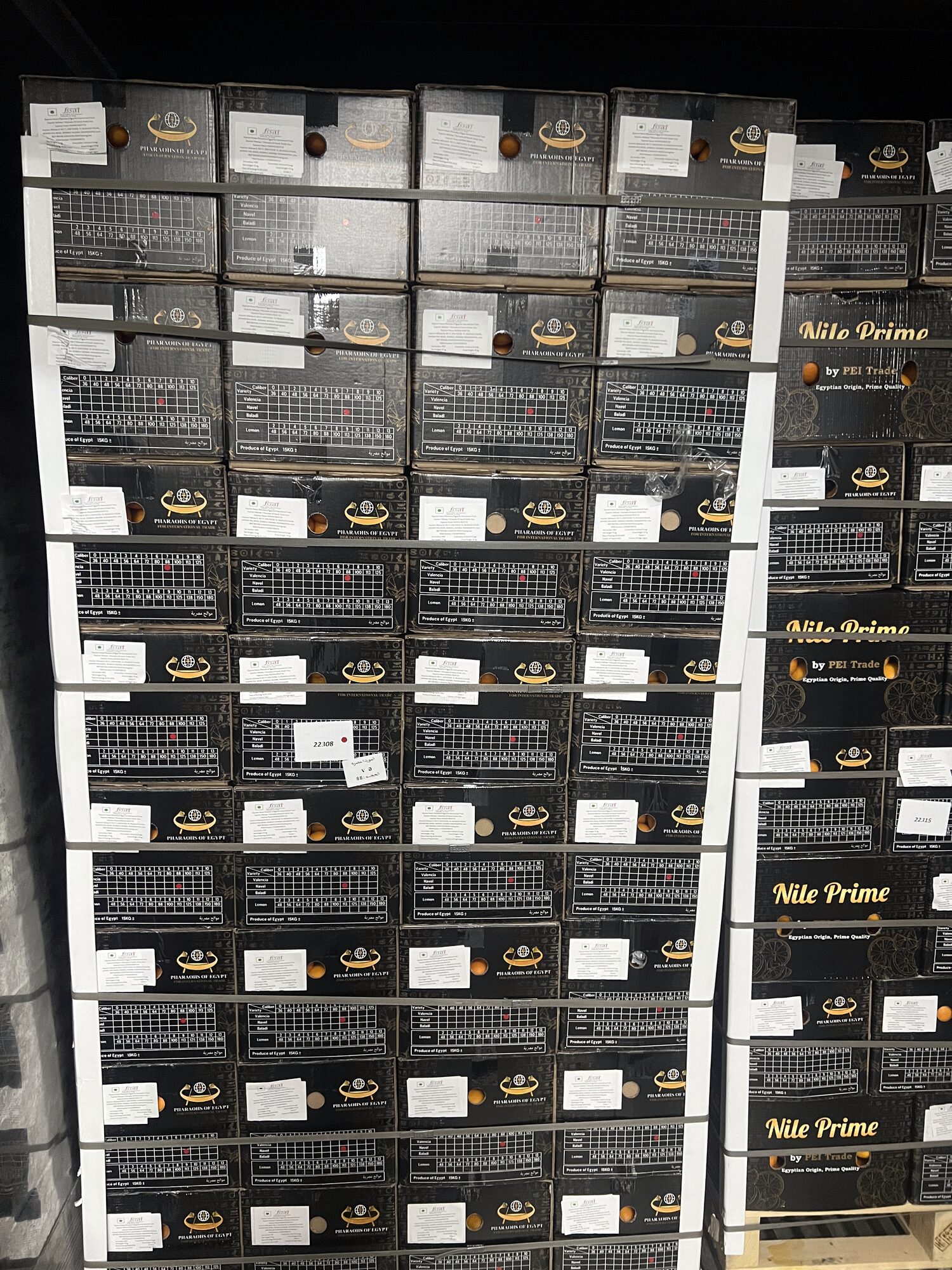 Strapped orange export cartons on a palletised load