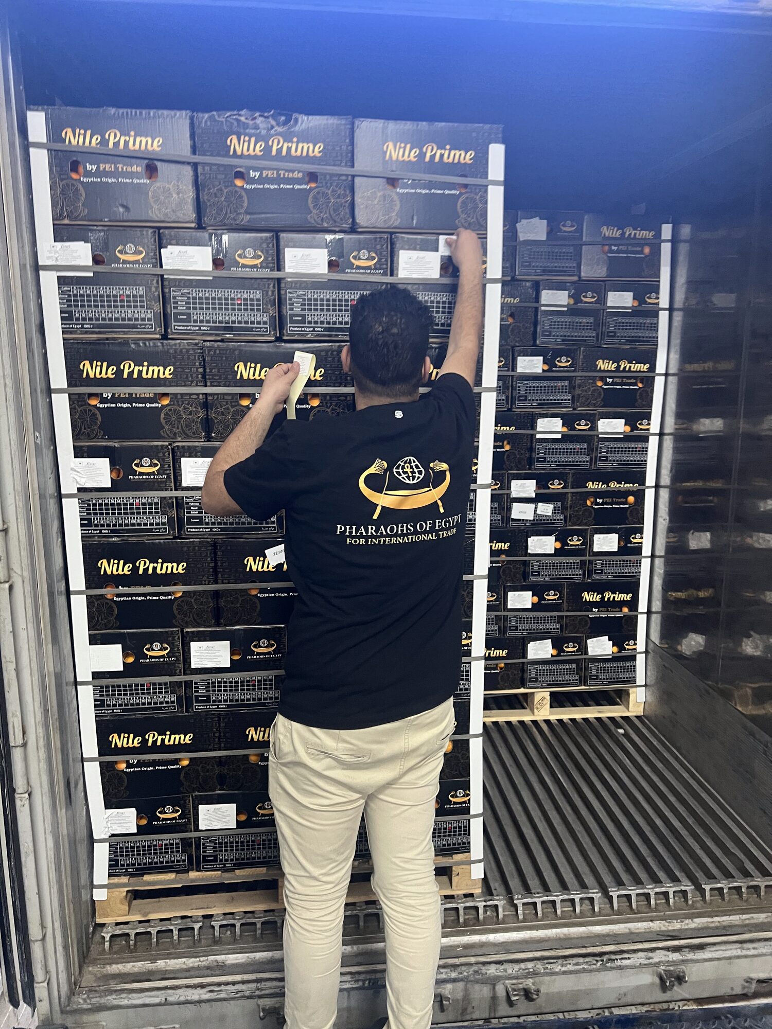 Worker strapping cargo inside a reefer container before dispatch